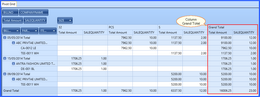 pivot grid genral 4.zoom25
